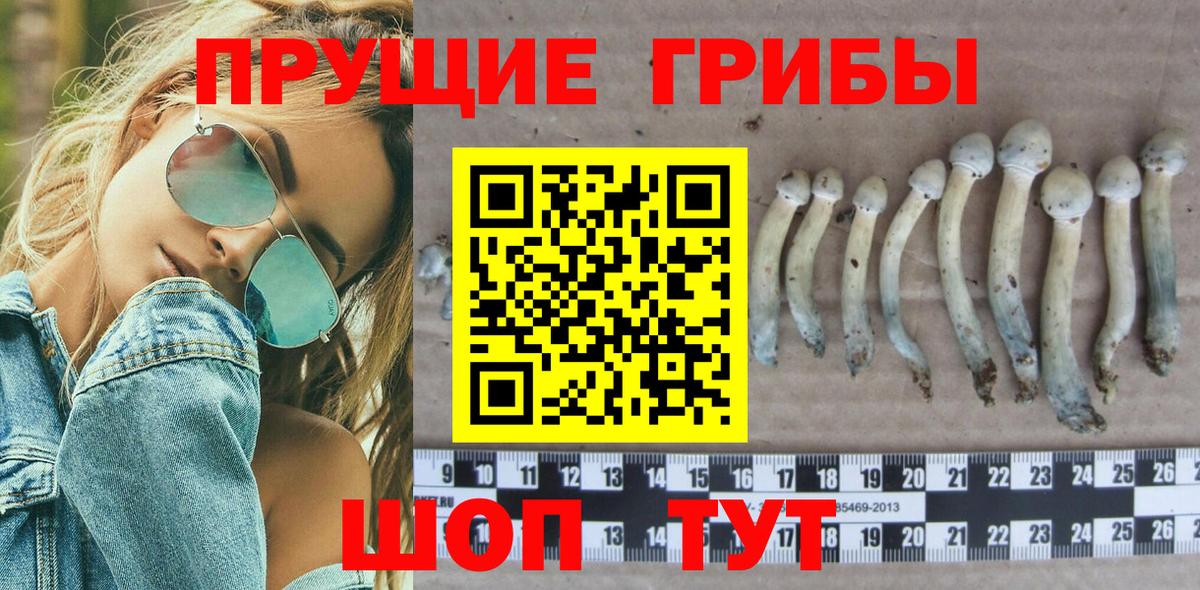как найти   Вход с VPN  Дмитров  Галлюциногенные грибы Magic Shrooms 