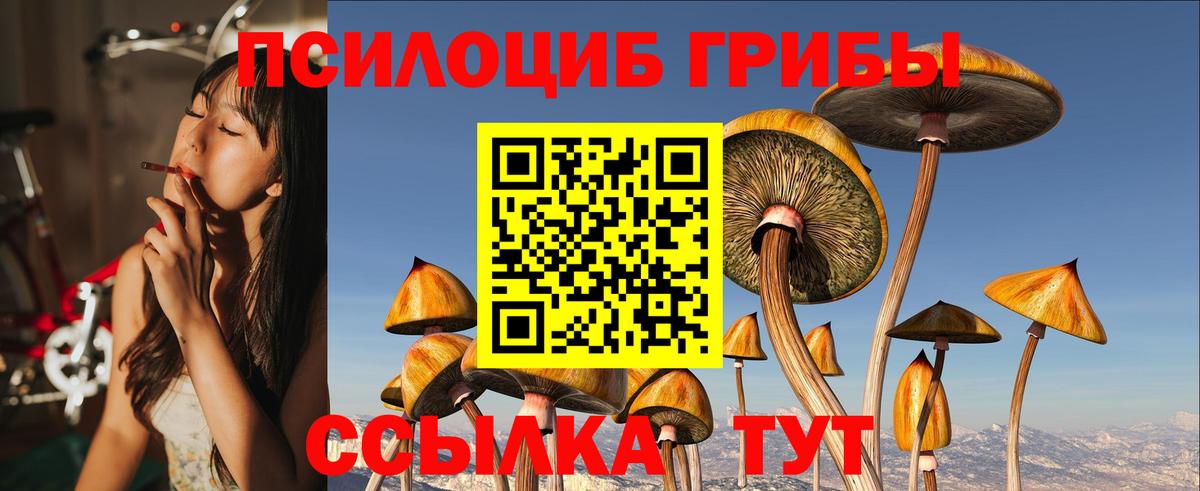 Галлюциногенные грибы Psilocybine cubensis Дмитров
